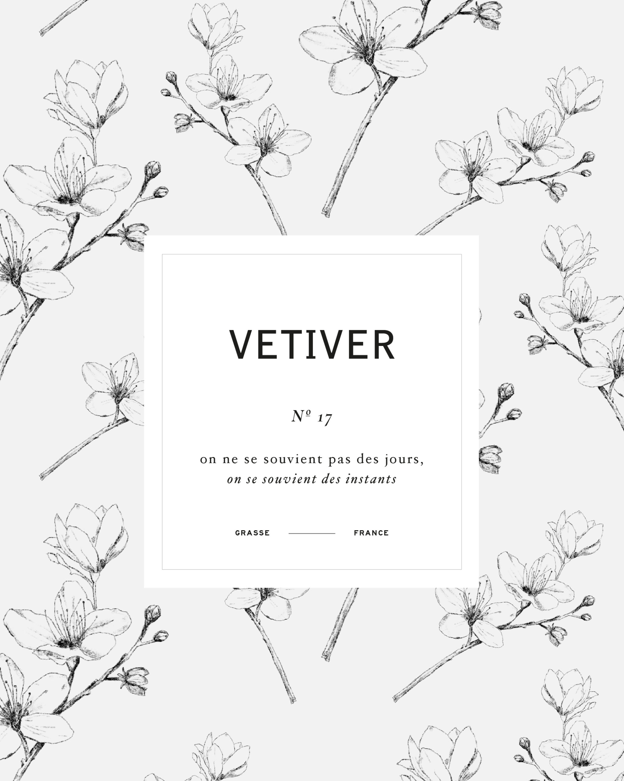 Plan de travail 2@2x-100