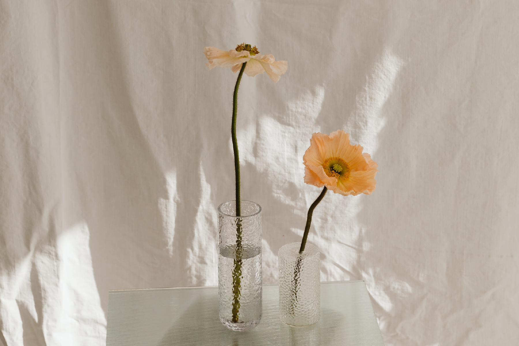 Identite-visuelle-01
